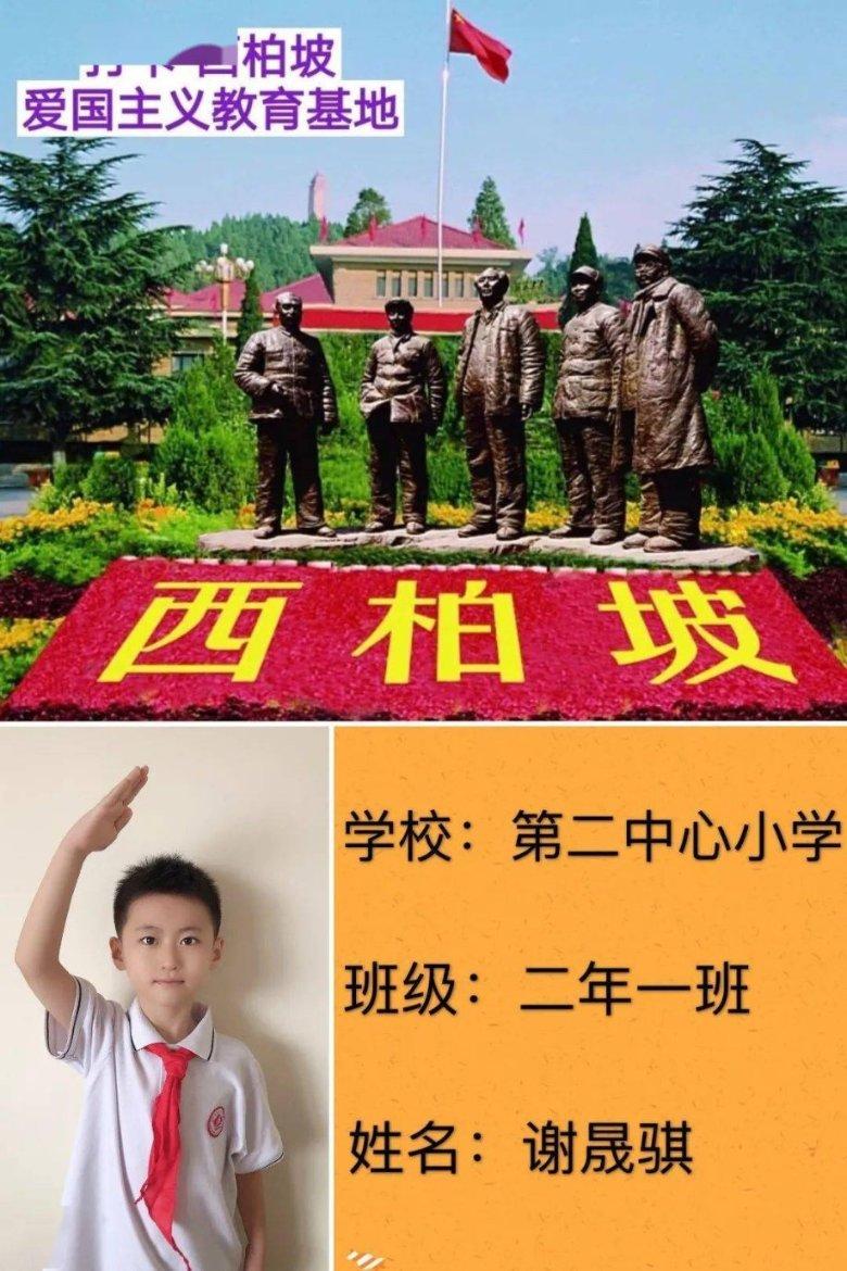 蓝狐视频